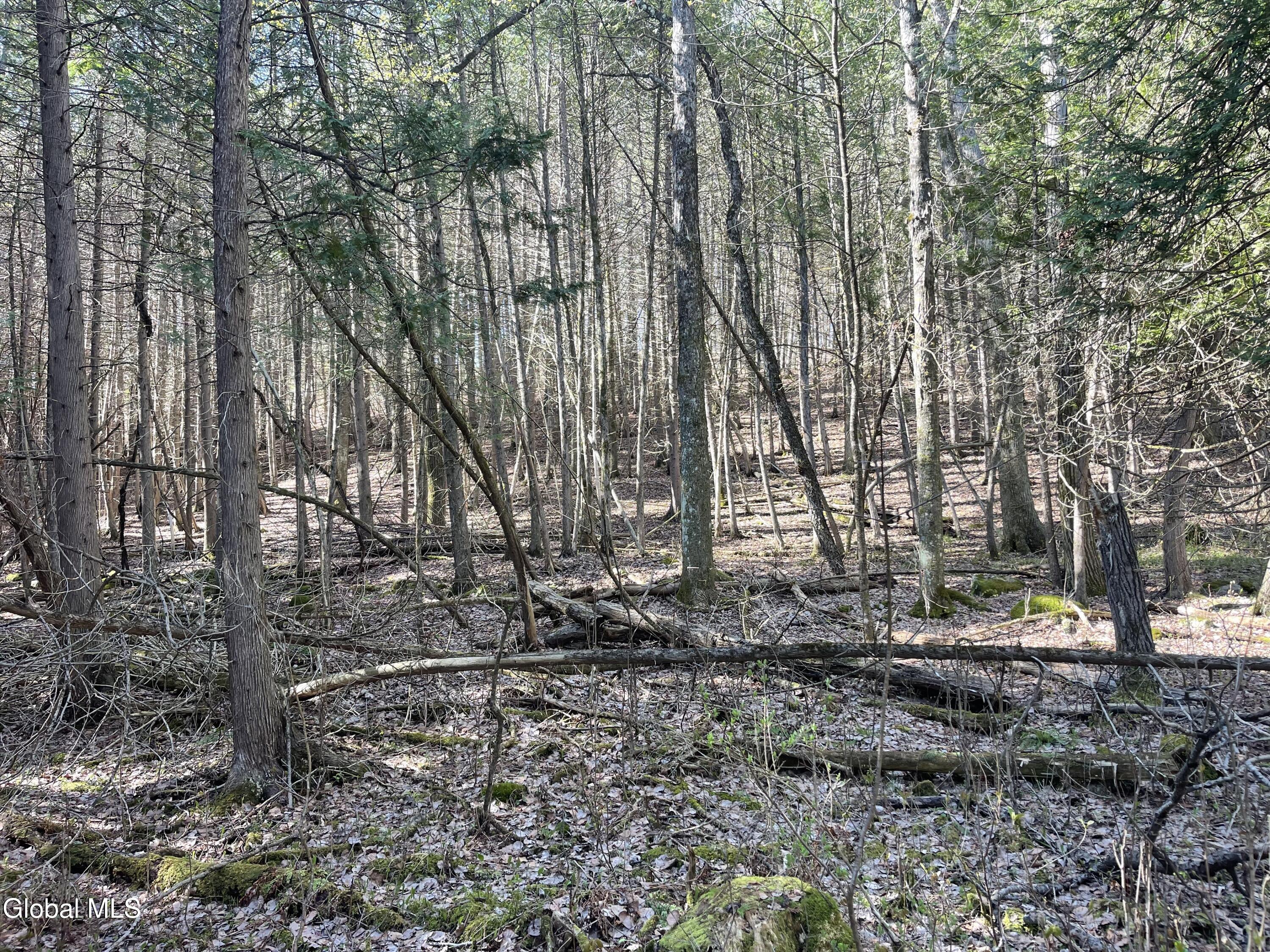 Lot 26 Highway Route 20 Sharon Springs NY 13459