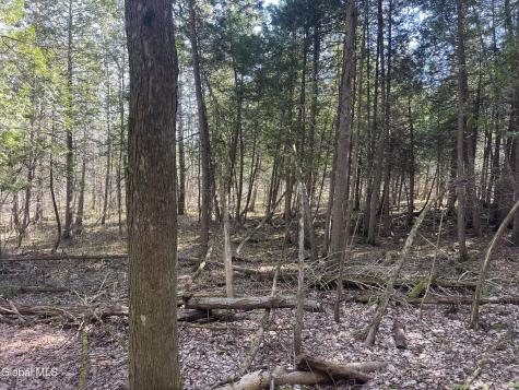 Lot 26 Highway Route 20 Sharon Springs NY 13459