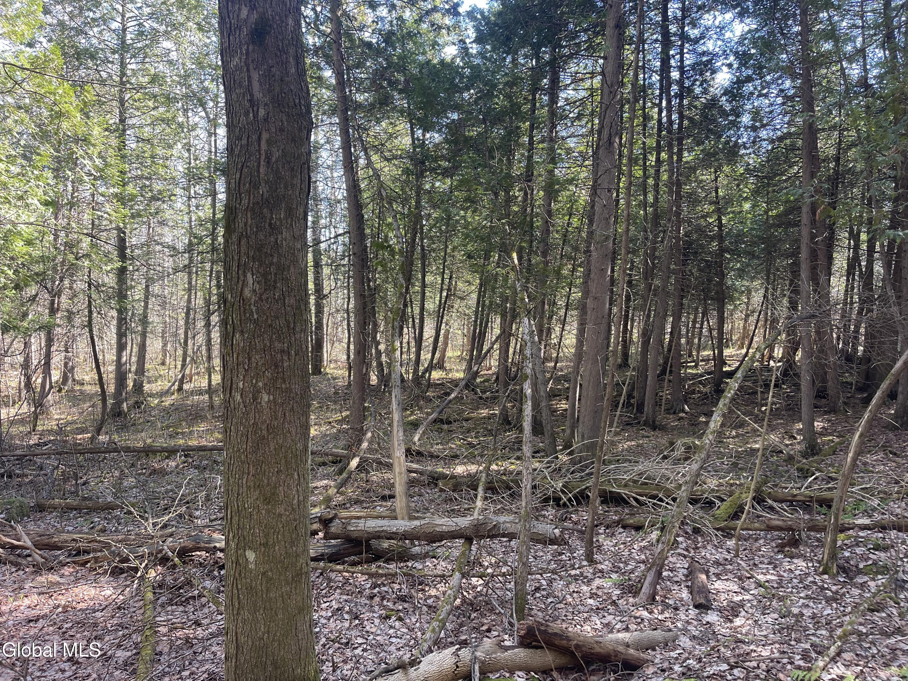Lot 26 Highway Route 20 Sharon Springs NY 13459