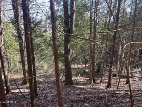 Lot 26 Highway Route 20 Sharon Springs NY 13459