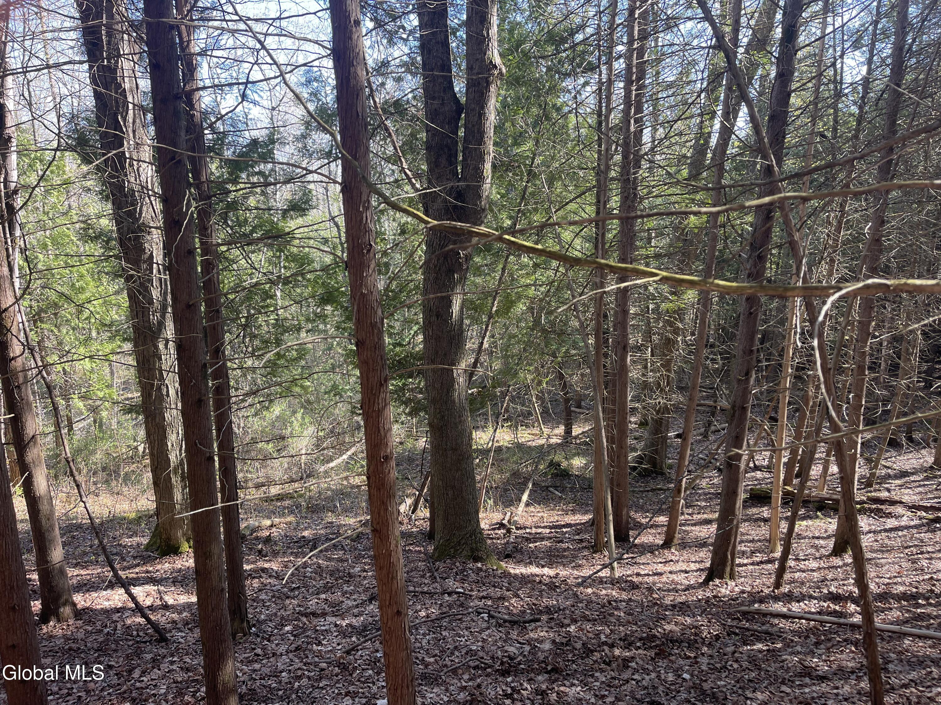 Lot 26 Highway Route 20 Sharon Springs NY 13459