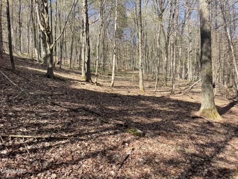 Lot 26 Highway Route 20 Sharon Springs NY 13459