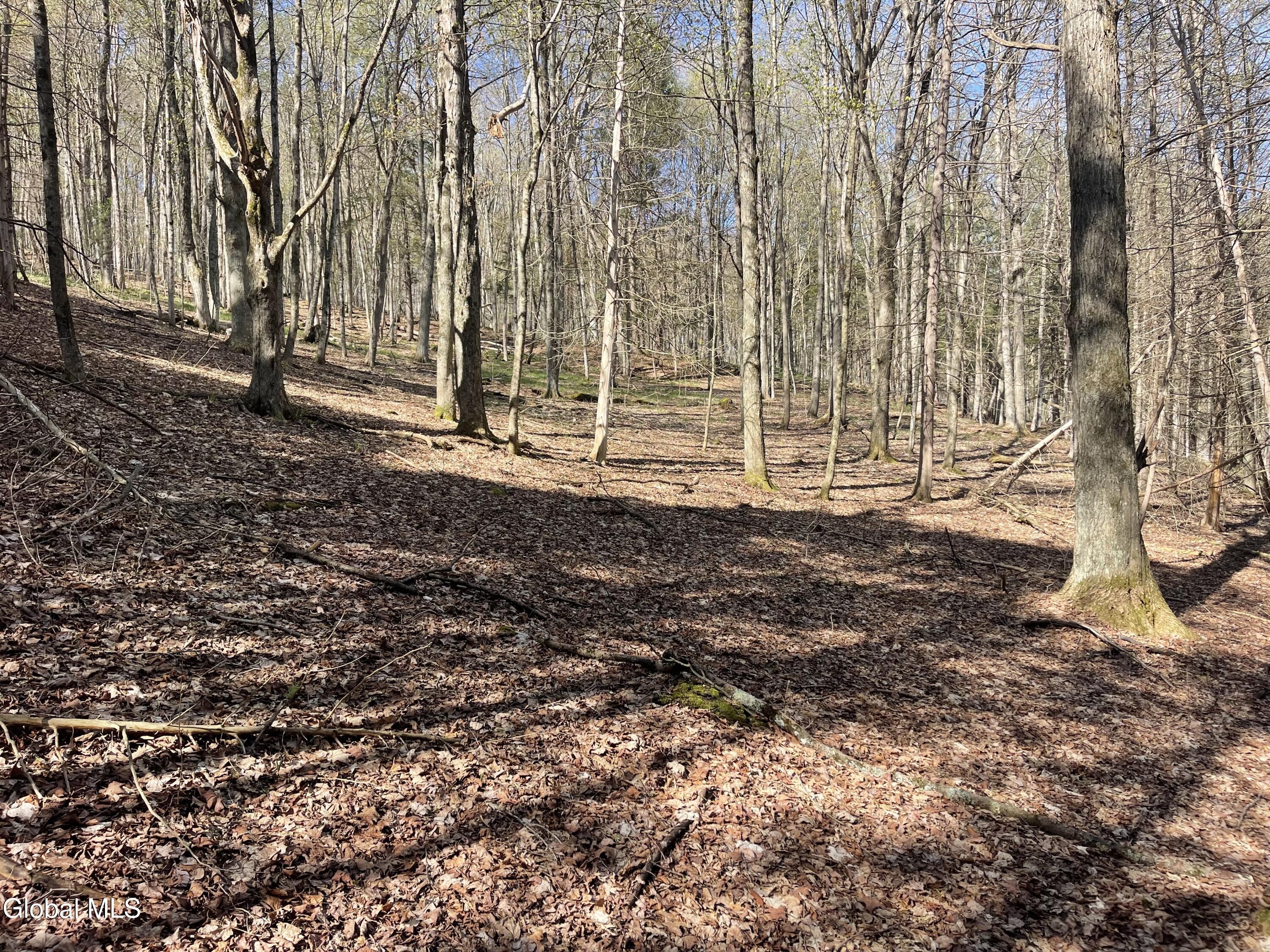 Lot 26 Highway Route 20 Sharon Springs NY 13459