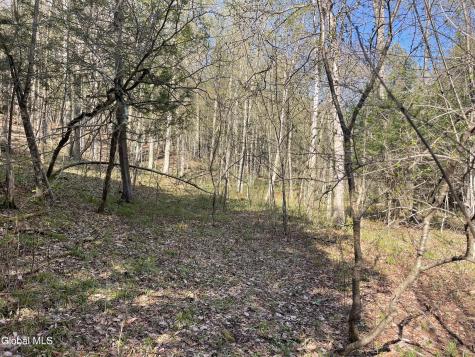 Lot 26 Highway Route 20 Sharon Springs NY 13459