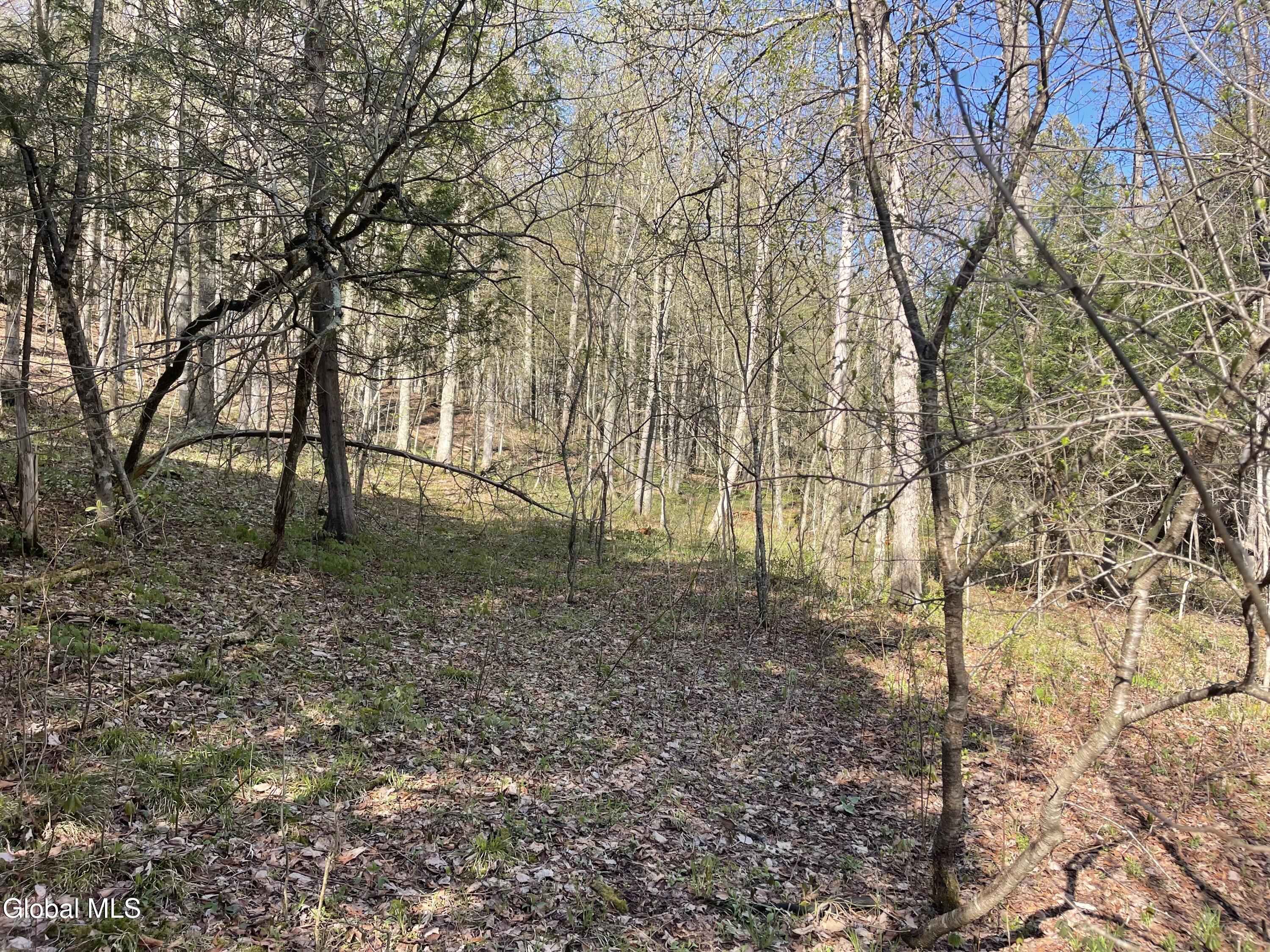 Lot 26 Highway Route 20 Sharon Springs NY 13459