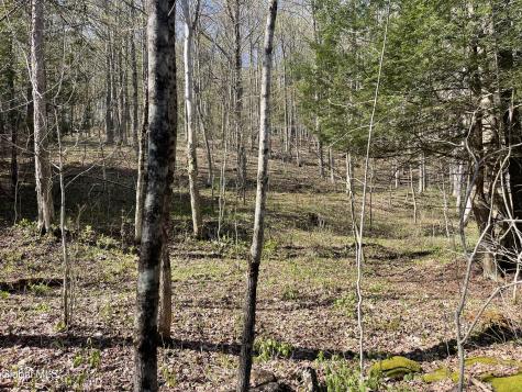 Lot 26 Highway Route 20 Sharon Springs NY 13459
