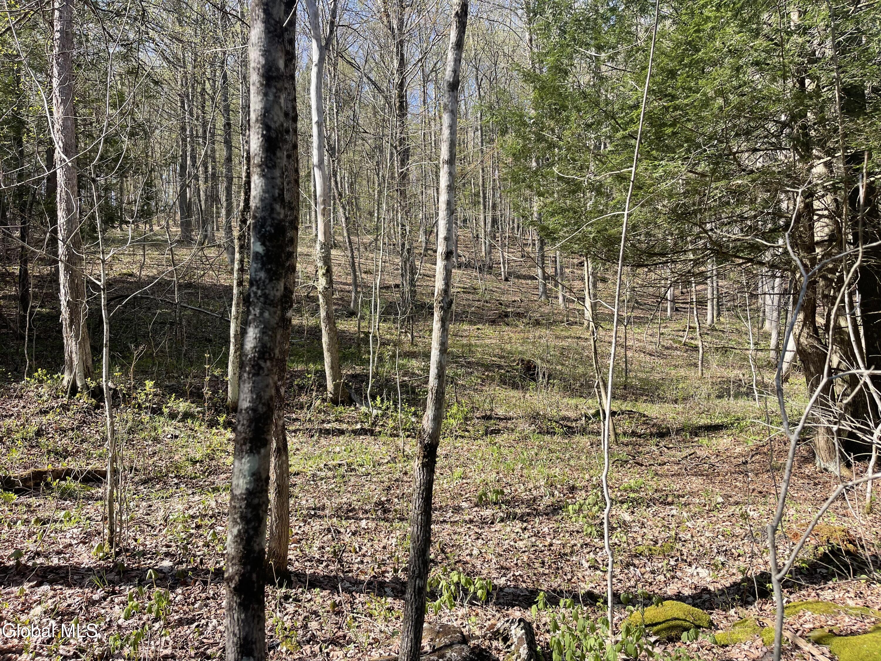 Lot 26 Highway Route 20 Sharon Springs NY 13459