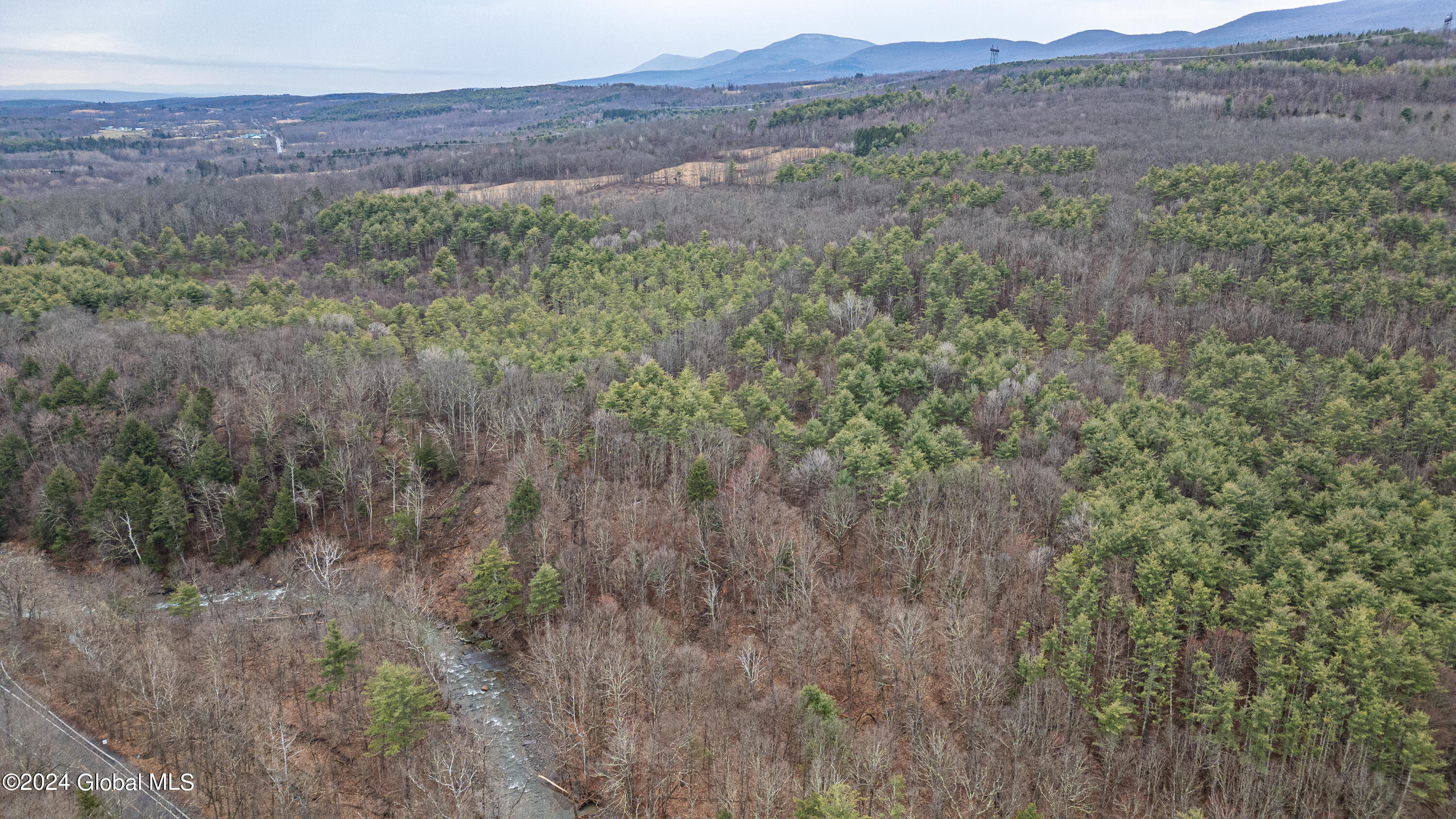 4875-4879 Potter Hollow Road Preston Hollow NY 12469
