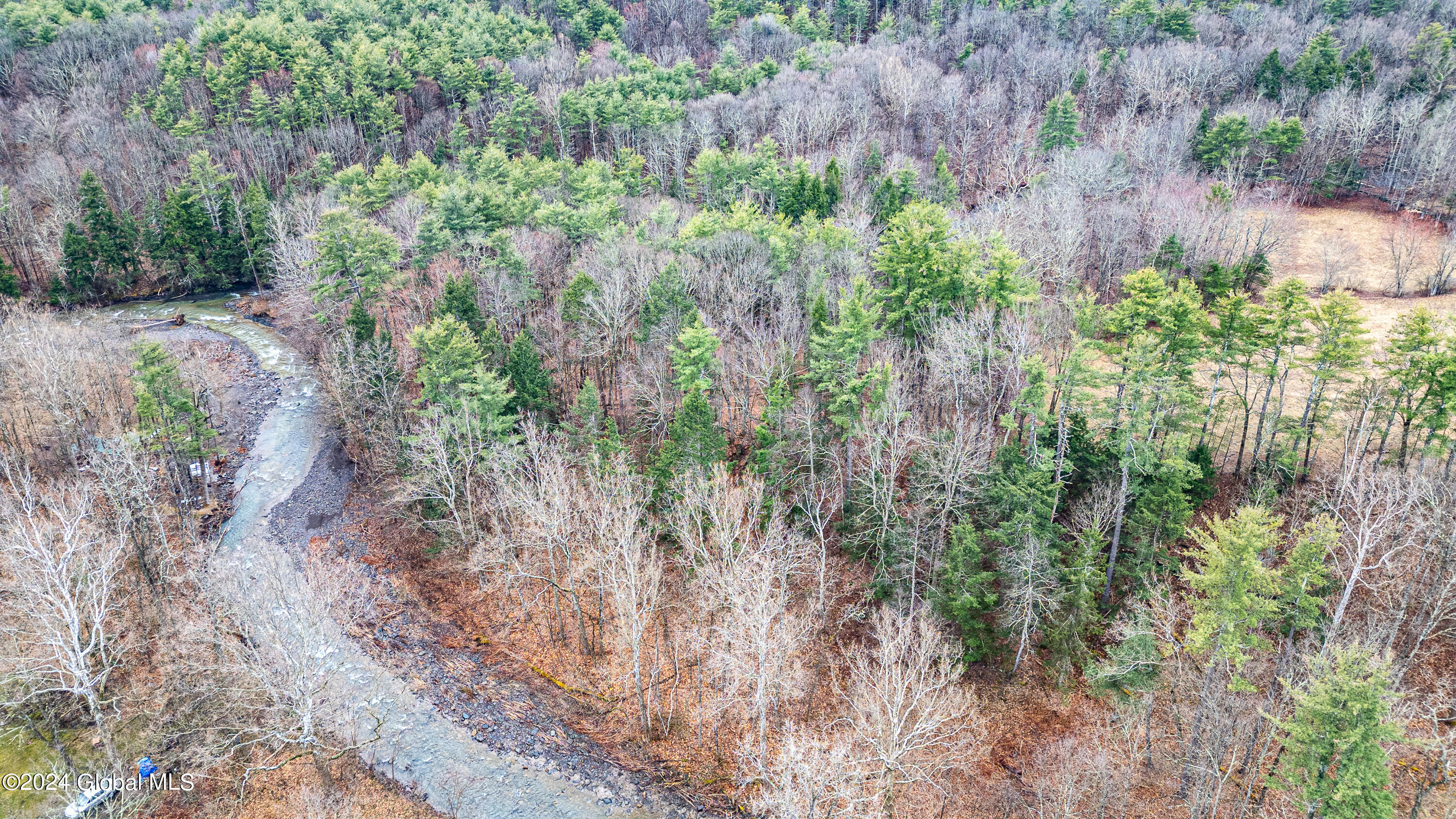 4875-4879 Potter Hollow Road Preston Hollow NY 12469