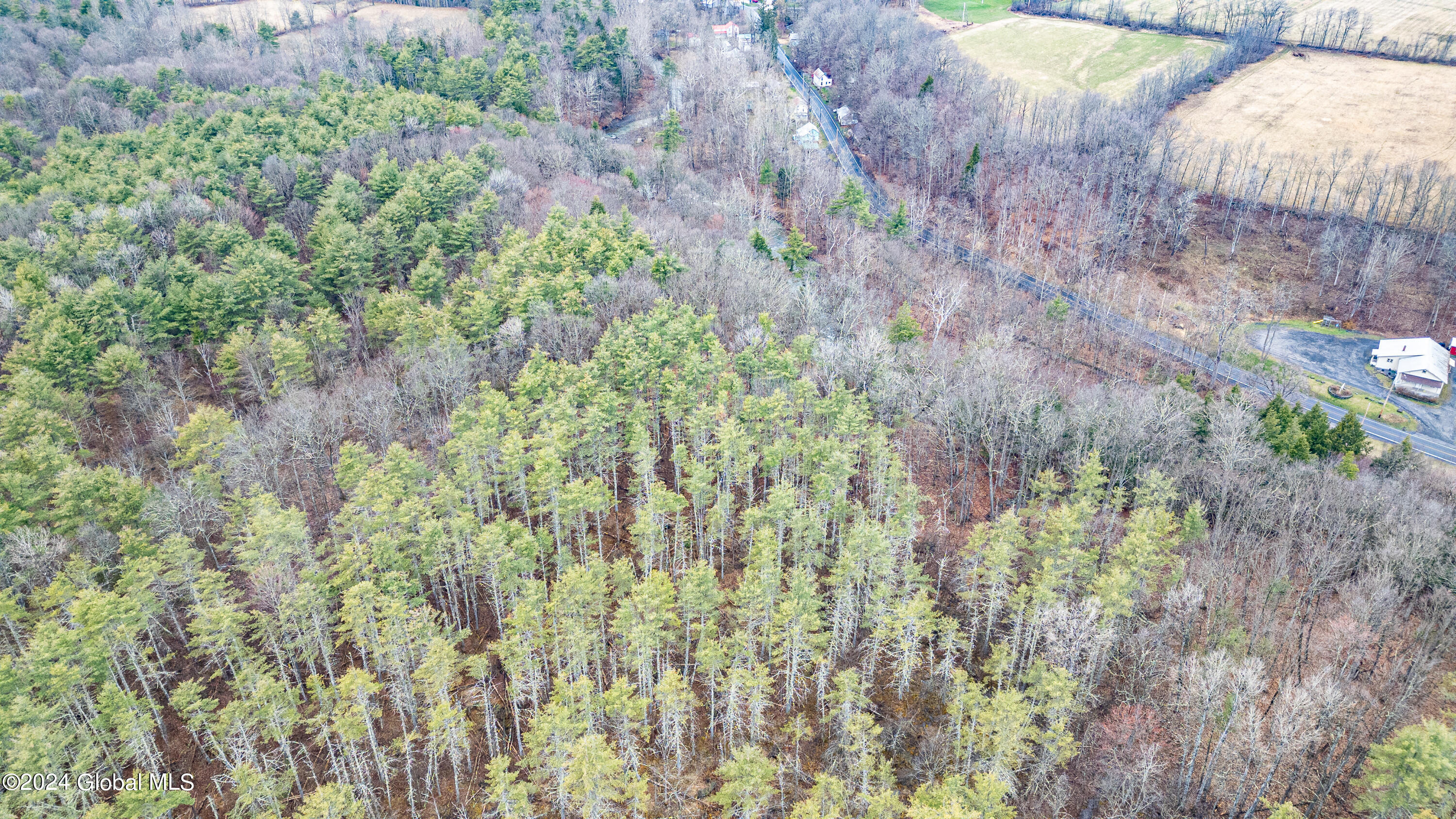 4875-4879 Potter Hollow Road Preston Hollow NY 12469