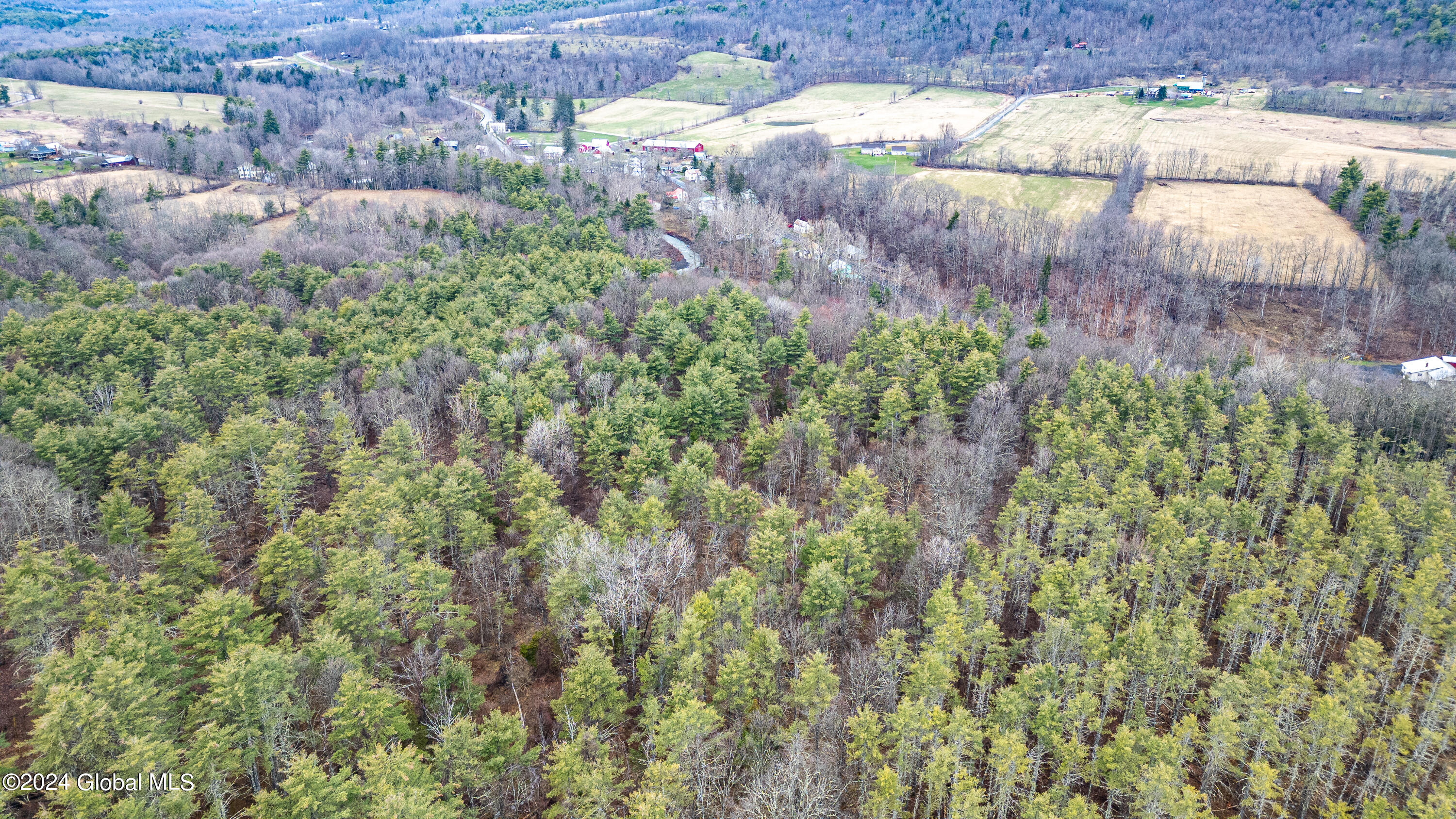 4875-4879 Potter Hollow Road Preston Hollow NY 12469