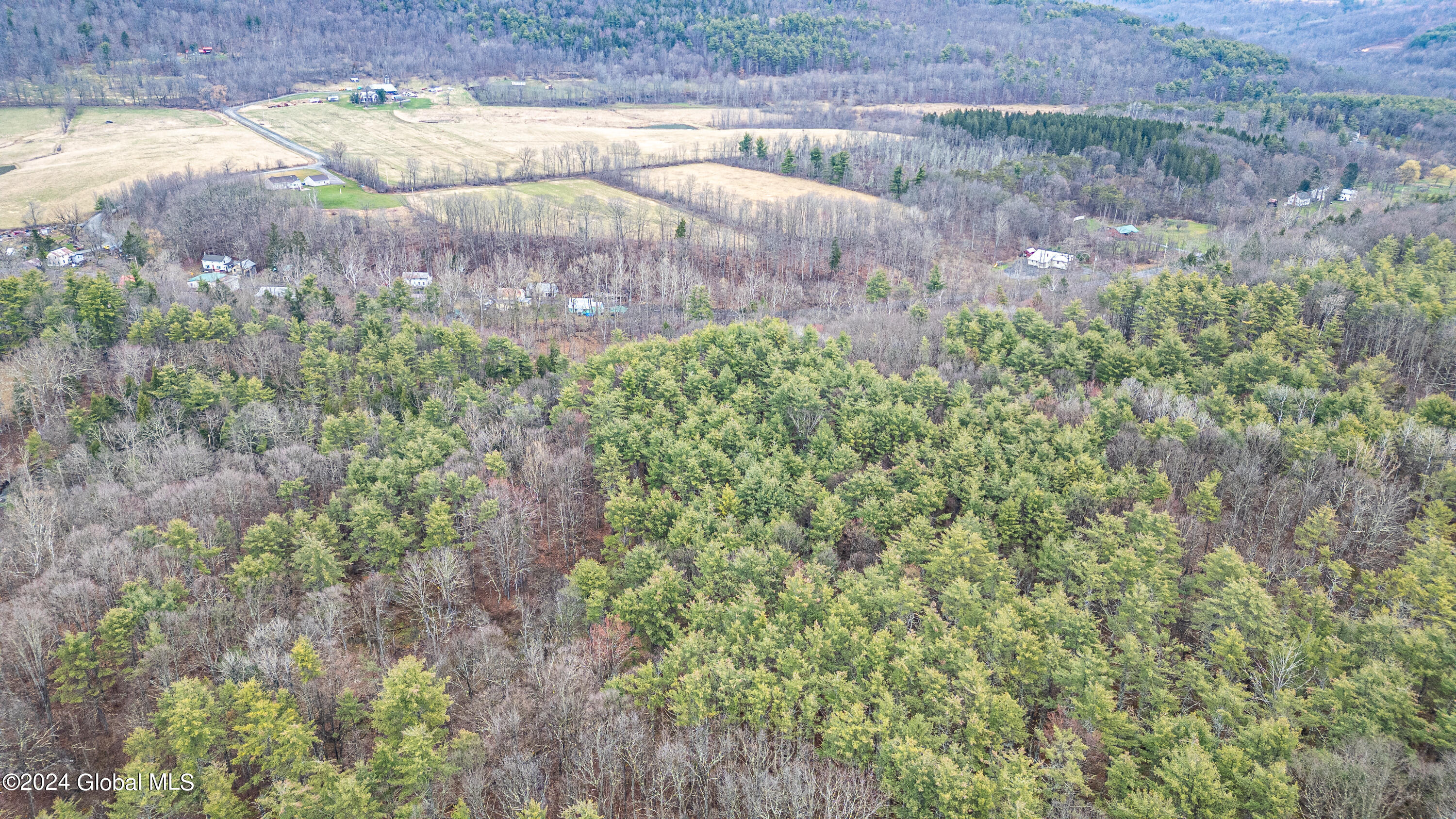 4875-4879 Potter Hollow Road Preston Hollow NY 12469