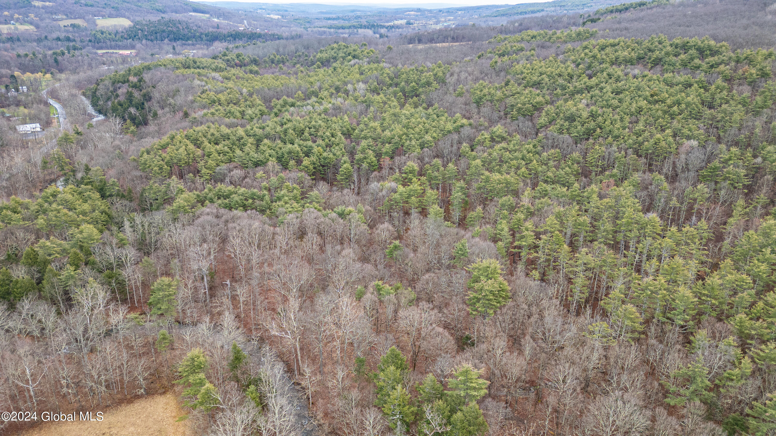 4875-4879 Potter Hollow Road Preston Hollow NY 12469