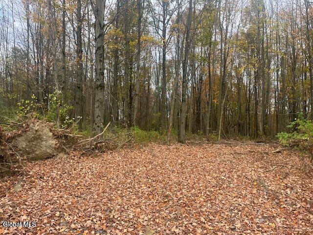 811 Corbin Hill Road Sloansville NY 12166