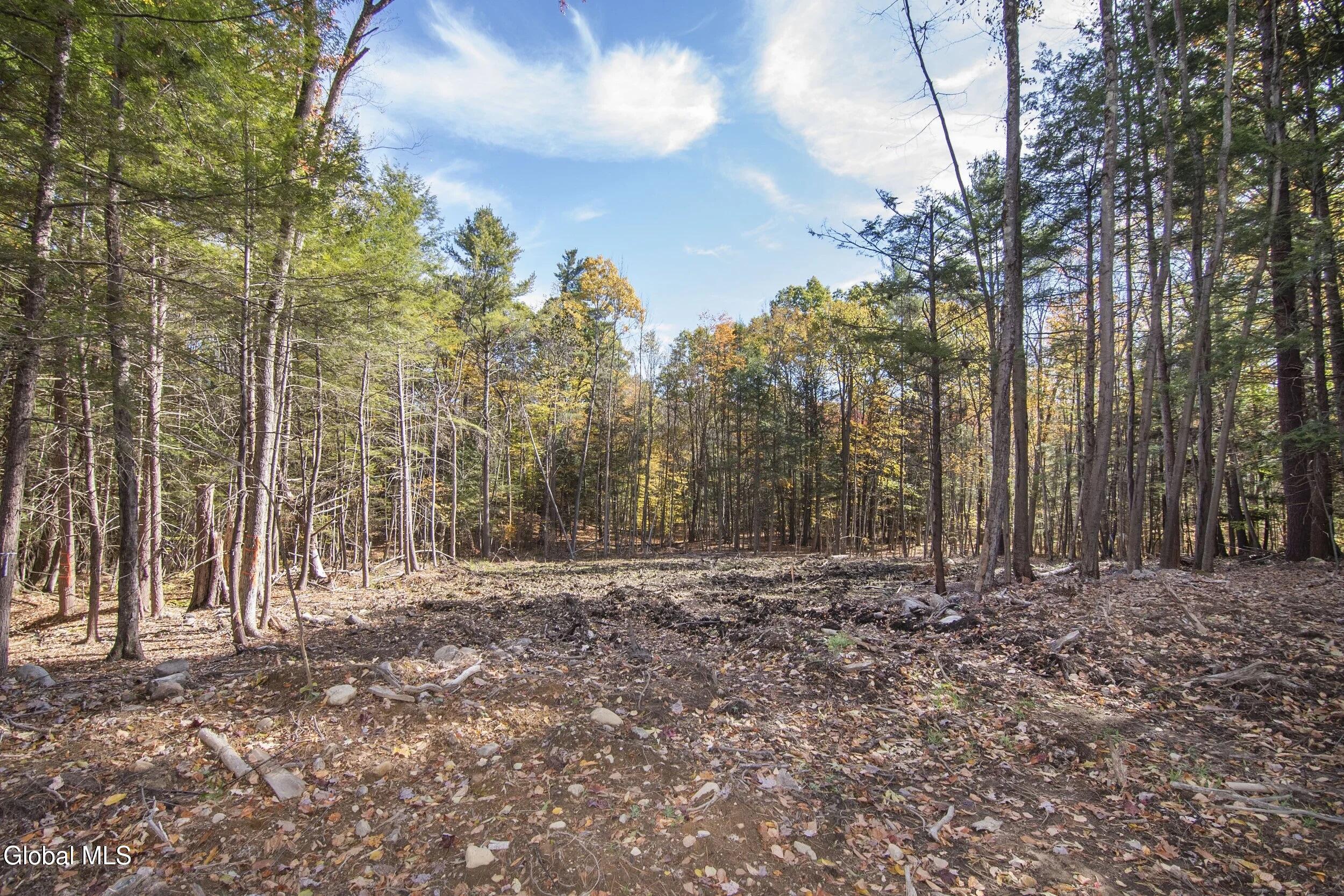 103A Sand Hill Road Greenfield Center NY 12833