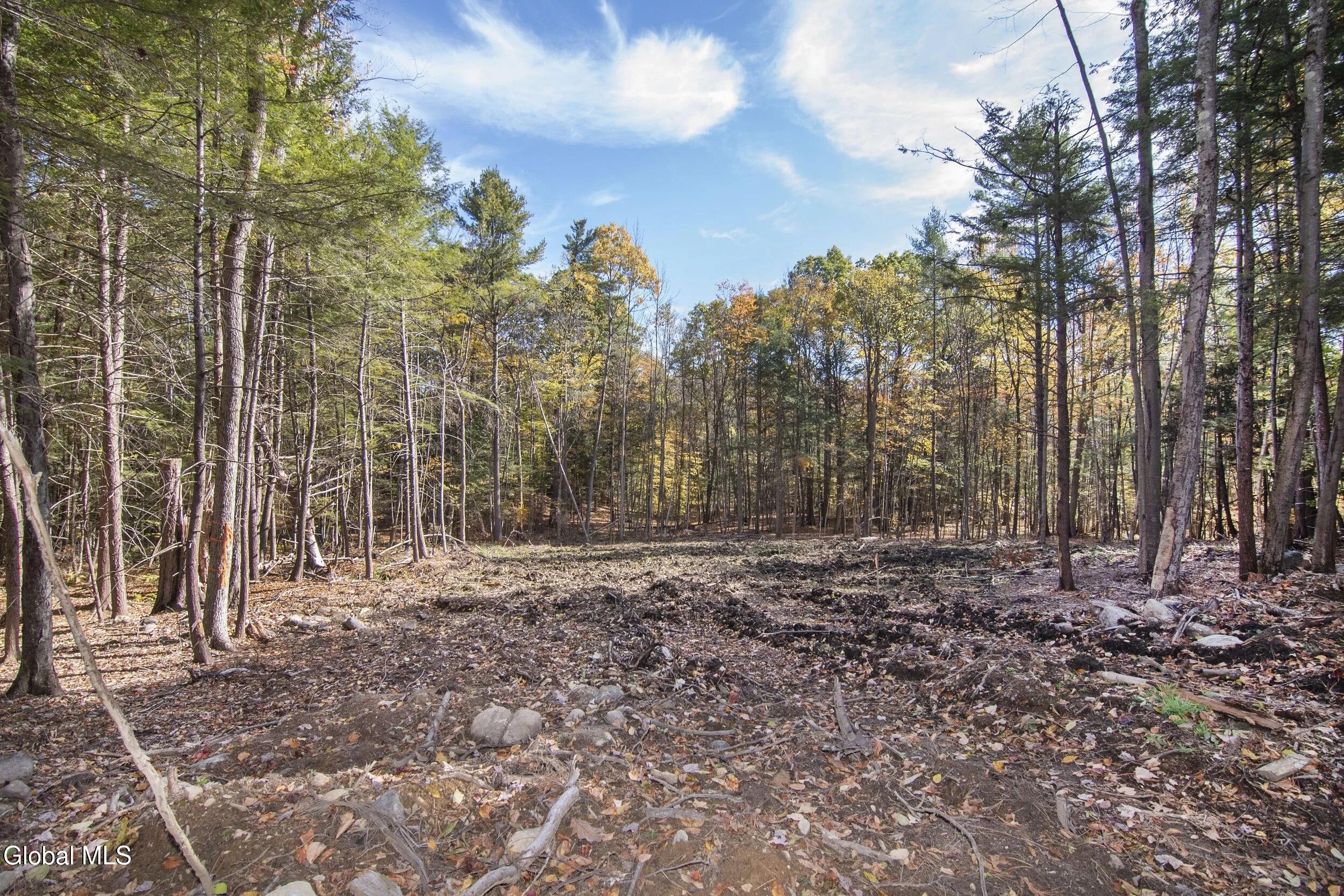 103A Sand Hill Road Greenfield Center NY 12833
