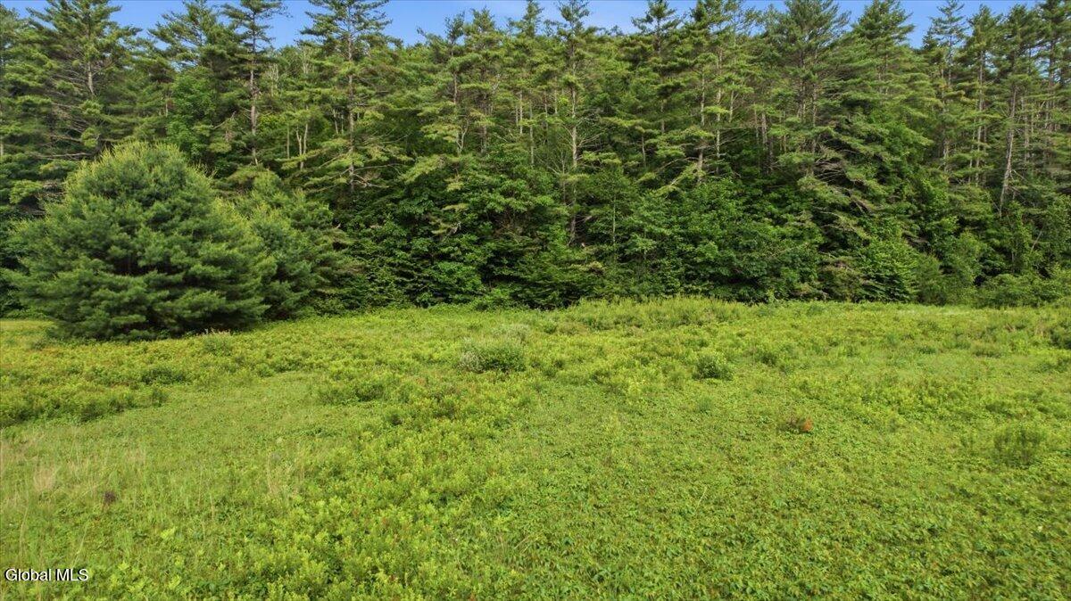 L 6.3 Schroon River Road Warrensburg NY 12885