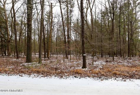 35 Denniston Drive Saugerties NY 12477