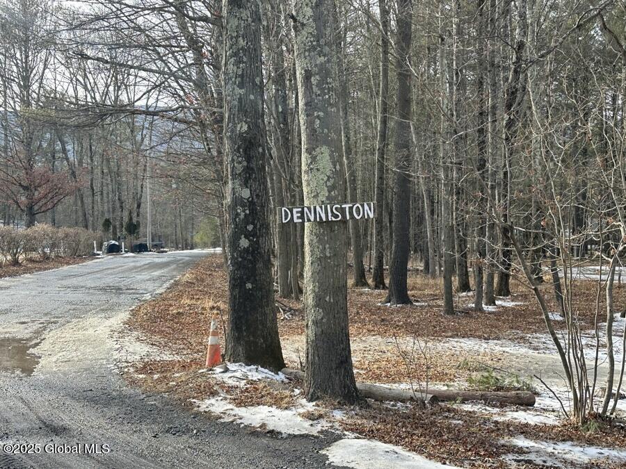 35 Denniston Drive Saugerties NY 12477