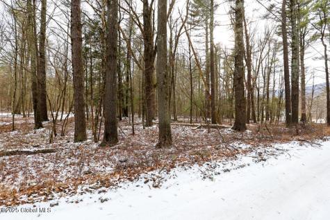 35 Denniston Drive Saugerties NY 12477
