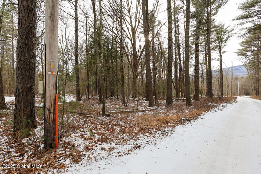 35 Denniston Drive Saugerties NY 12477