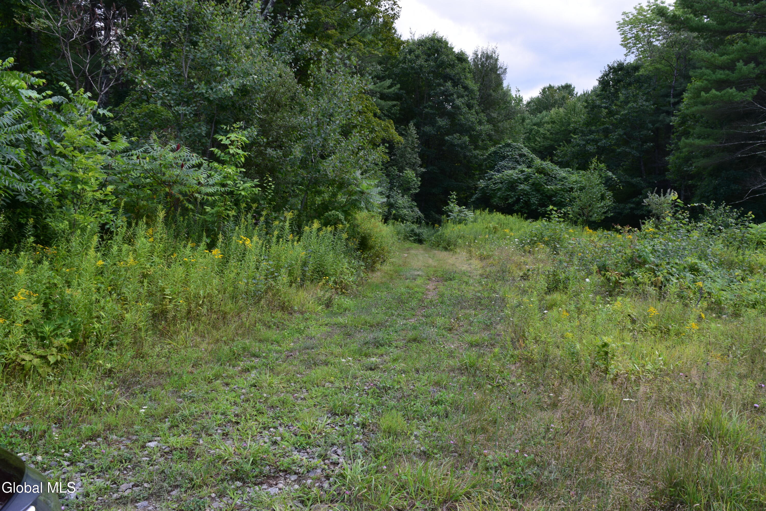 L1 County Highway 123 Mayfield NY 12117