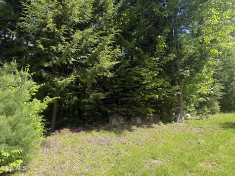 L46 Pinewood Rd North Chestertown NY 12817