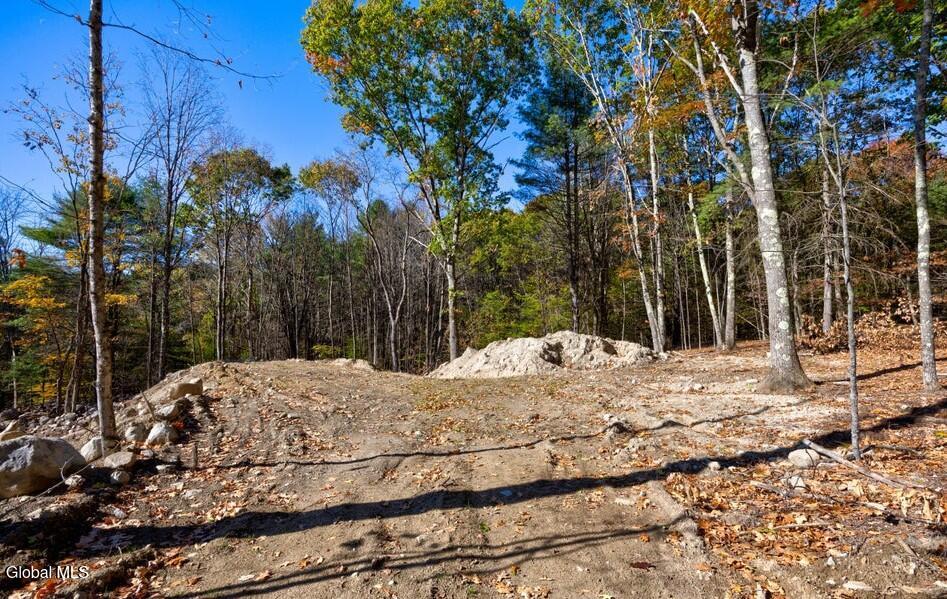 L 5 Fox Hill Road Northville NY 12134