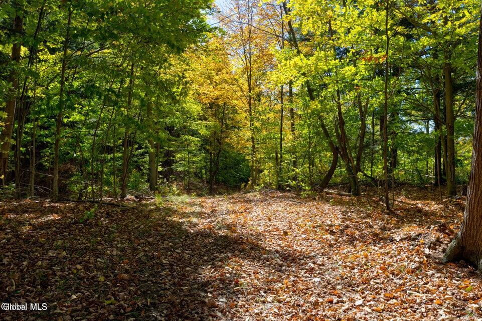 L 5 Fox Hill Road Northville NY 12134