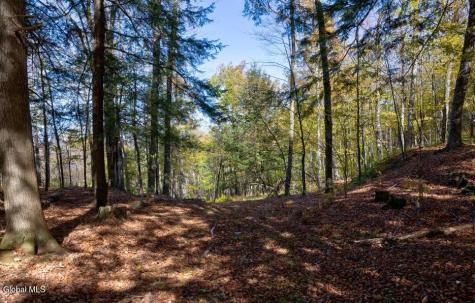 L 5 Fox Hill Road Northville NY 12134
