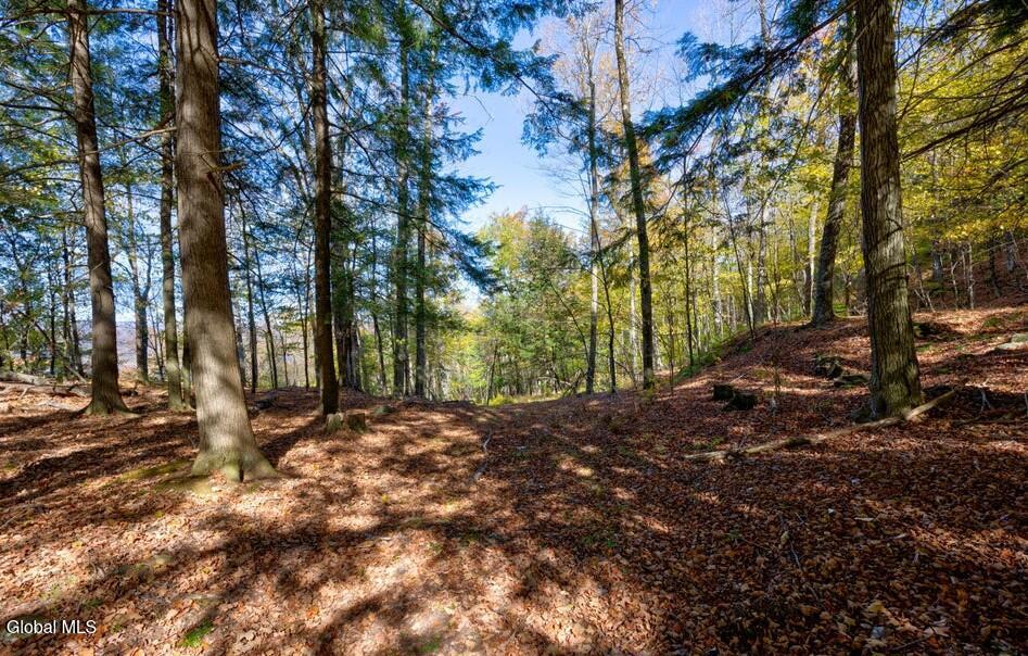 L 5 Fox Hill Road Northville NY 12134