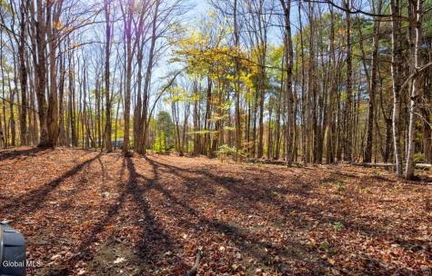 L 5 Fox Hill Road Northville NY 12134