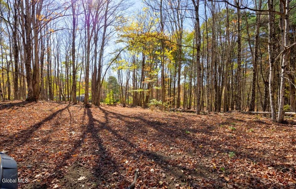 L 5 Fox Hill Road Northville NY 12134