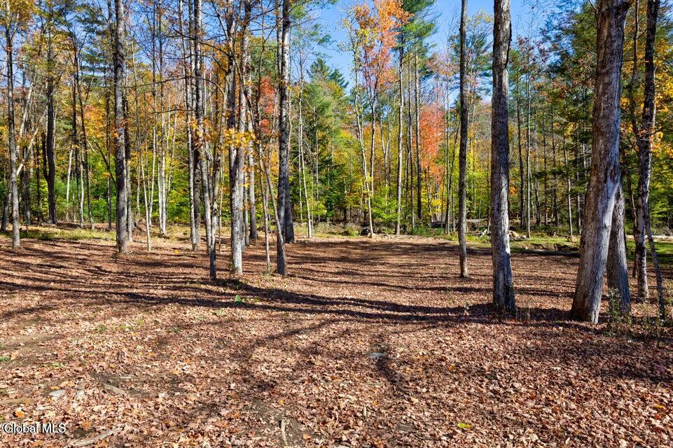 L 5 Fox Hill Road Northville NY 12134
