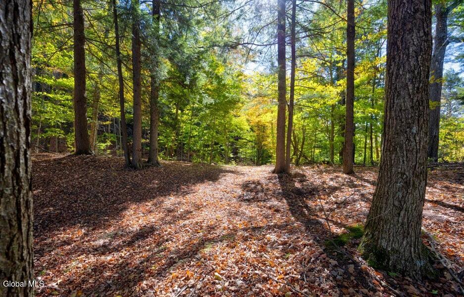 L 5 Fox Hill Road Northville NY 12134
