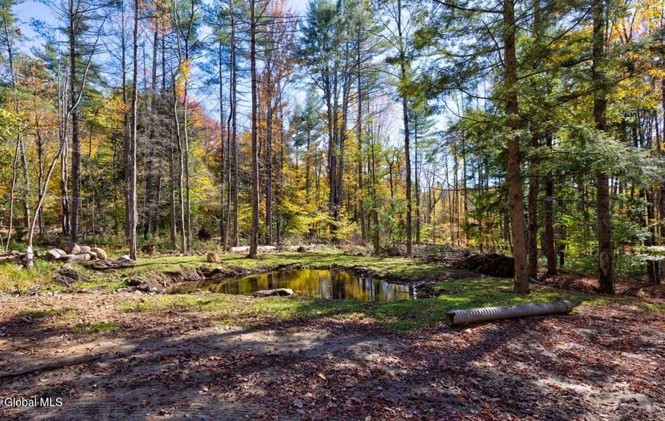 L 5 Fox Hill Road Northville NY 12134