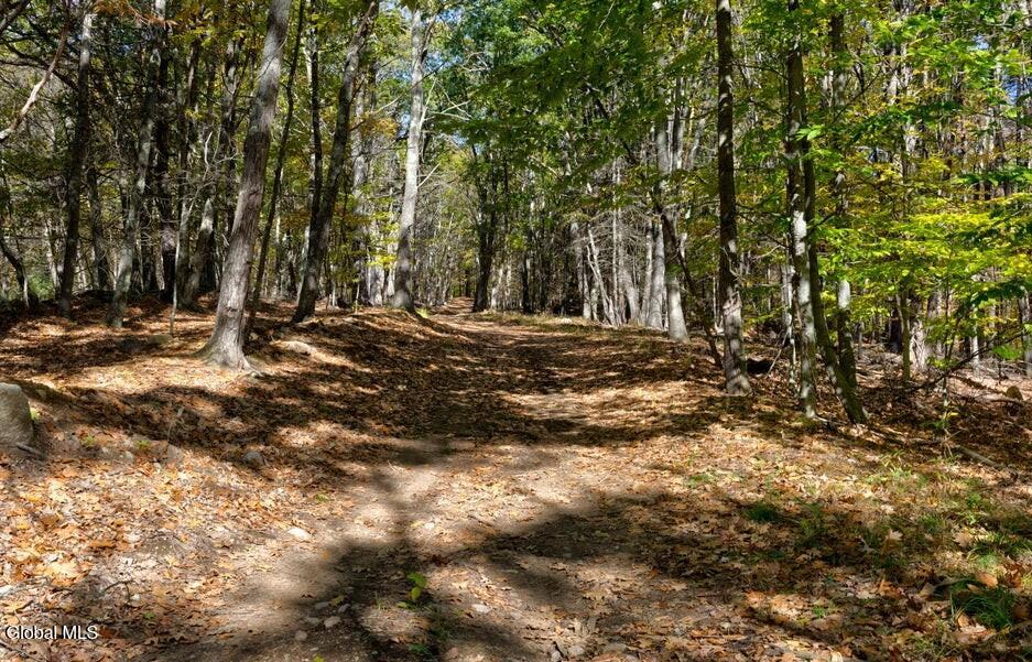L 5 Fox Hill Road Northville NY 12134