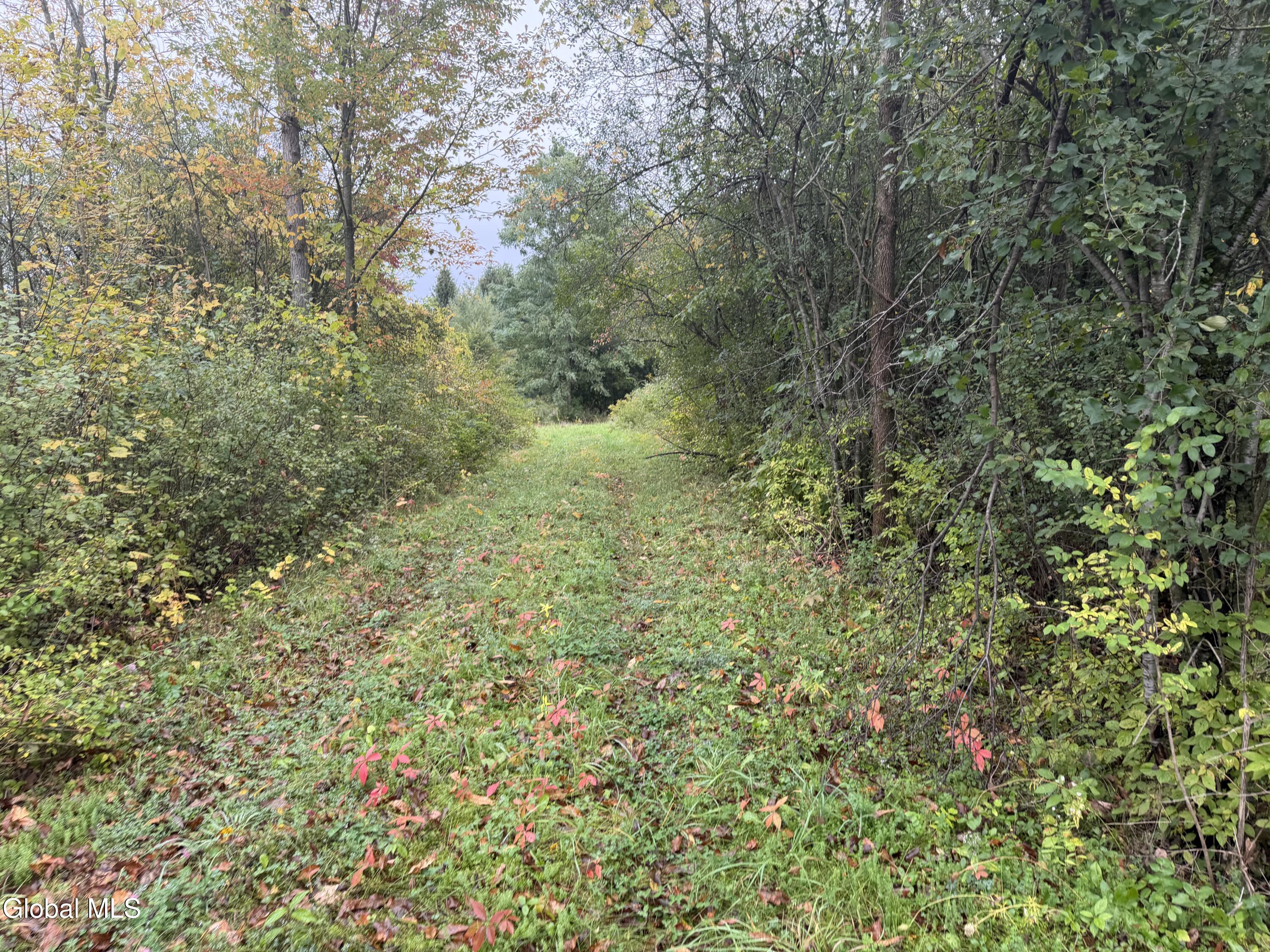 L28.000 Bridge Road Crown Point NY 12928