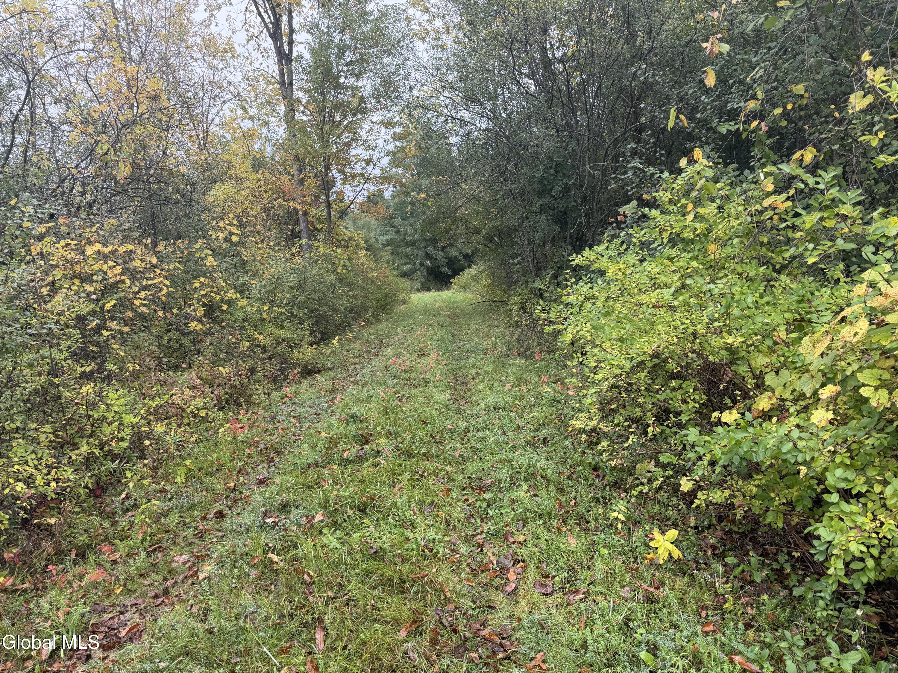 L28.000 Bridge Road Crown Point NY 12928