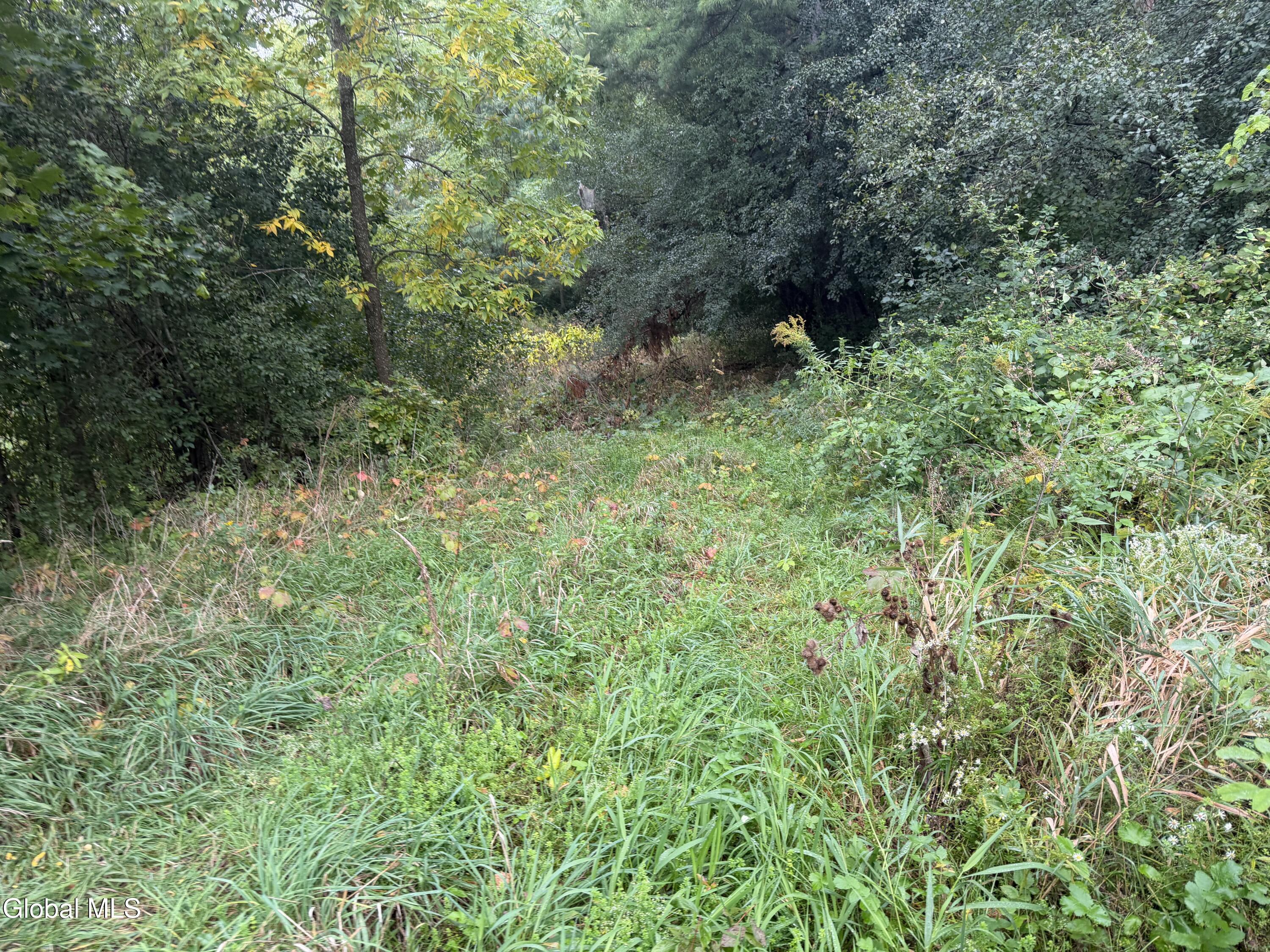 L28.000 Bridge Road Crown Point NY 12928