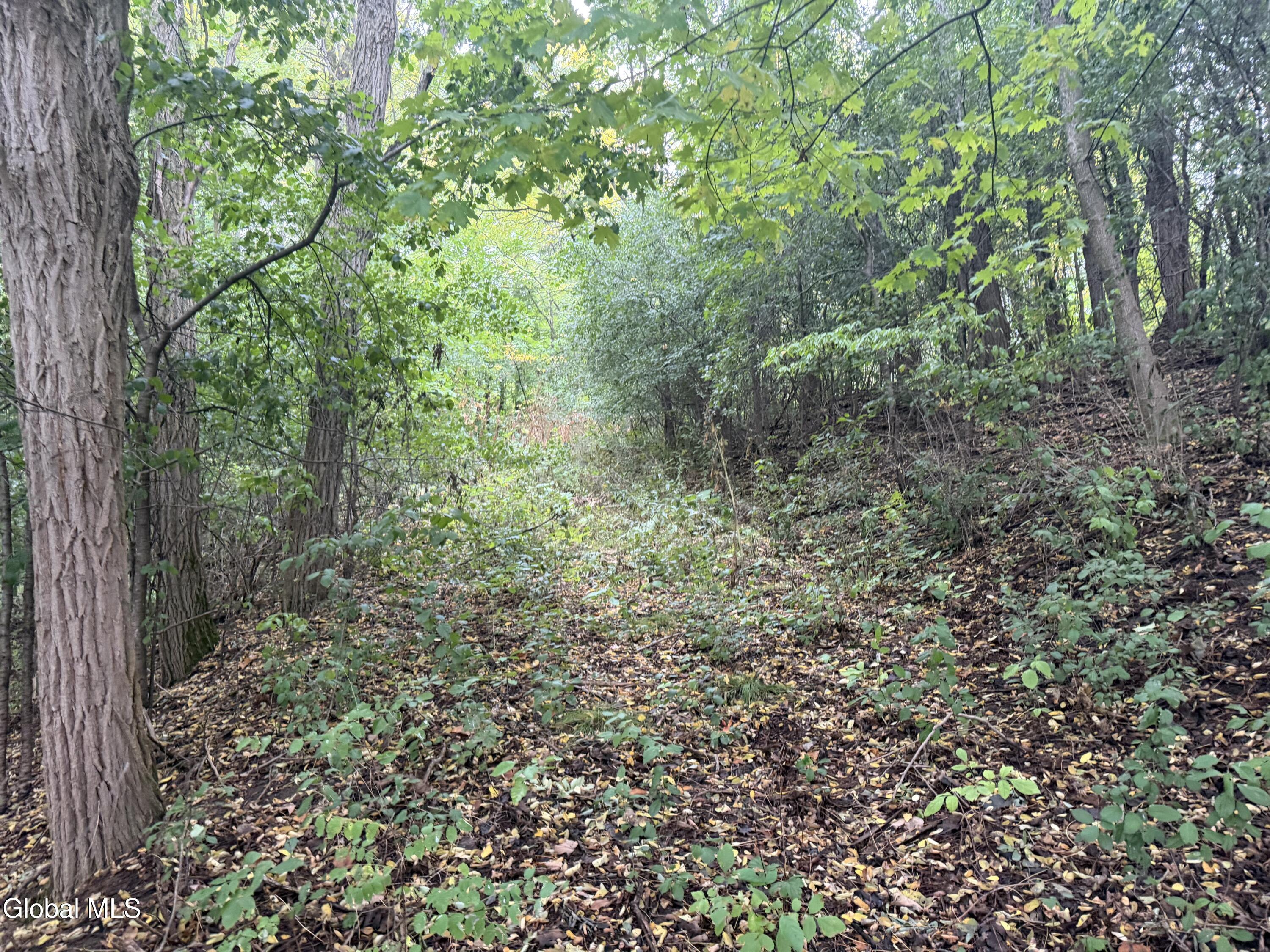 L28.000 Bridge Road Crown Point NY 12928
