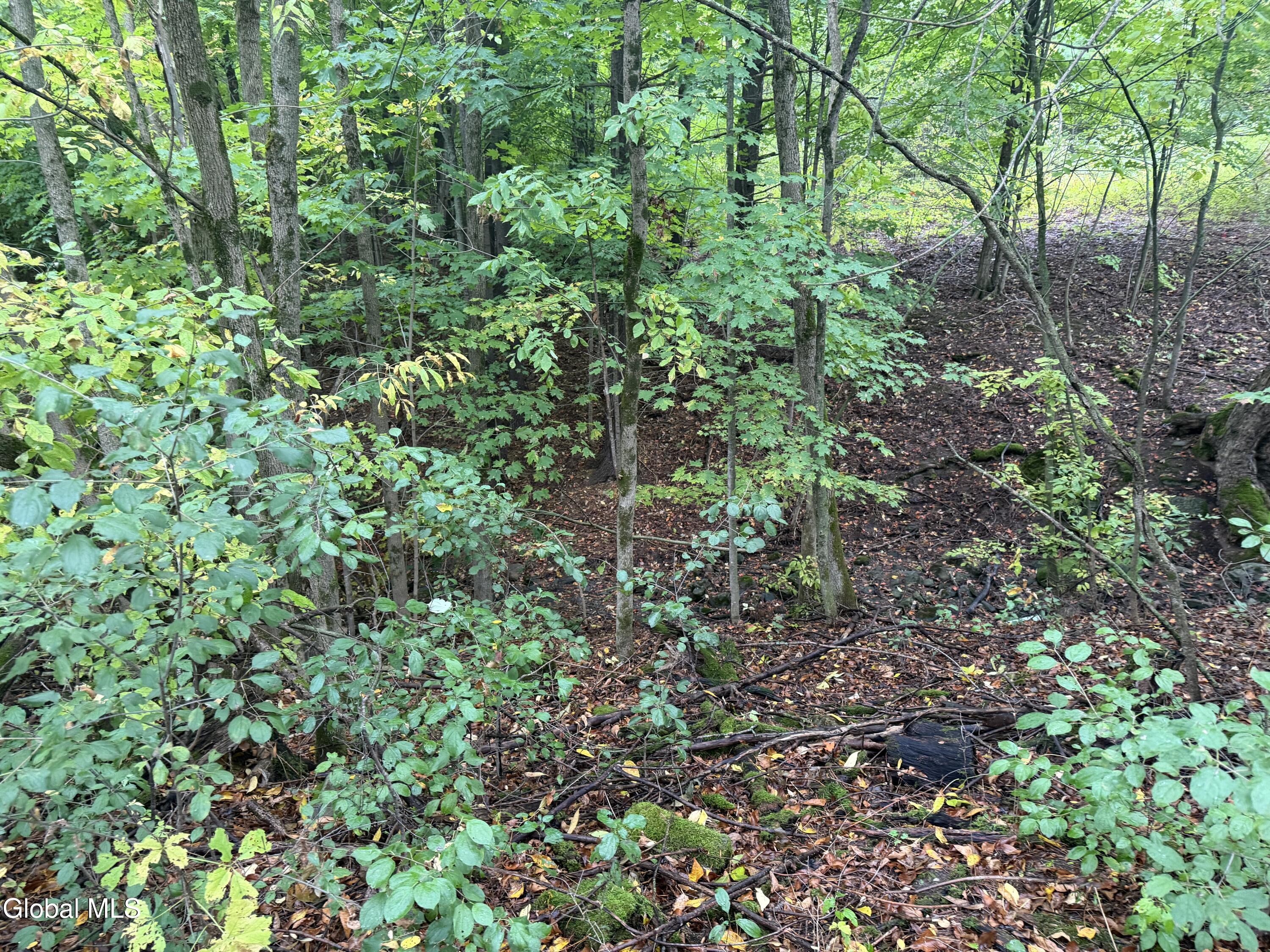 L28.000 Bridge Road Crown Point NY 12928