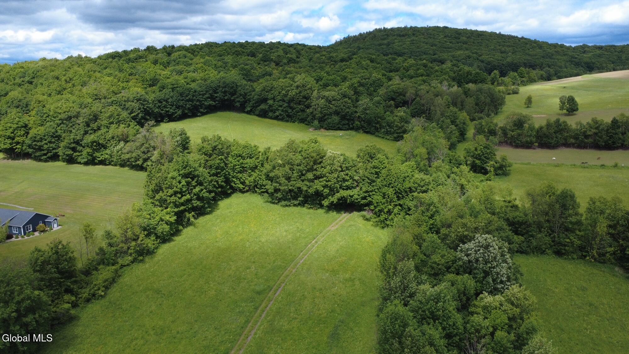 752 Loonenbergh Turnpike Sharon Springs NY 13459