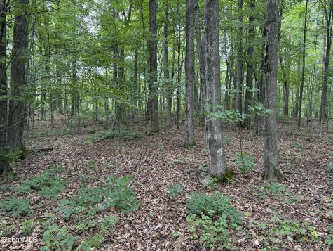 752 Loonenbergh Turnpike Sharon Springs NY 13459