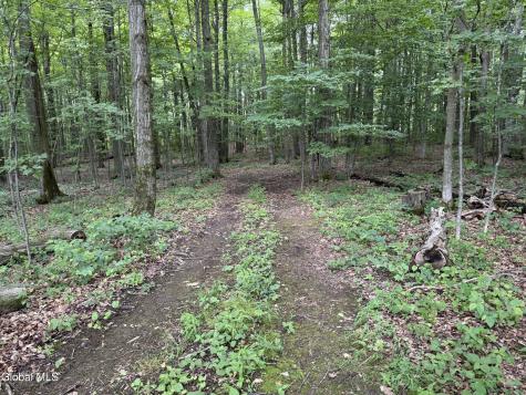 752 Loonenbergh Turnpike Sharon Springs NY 13459