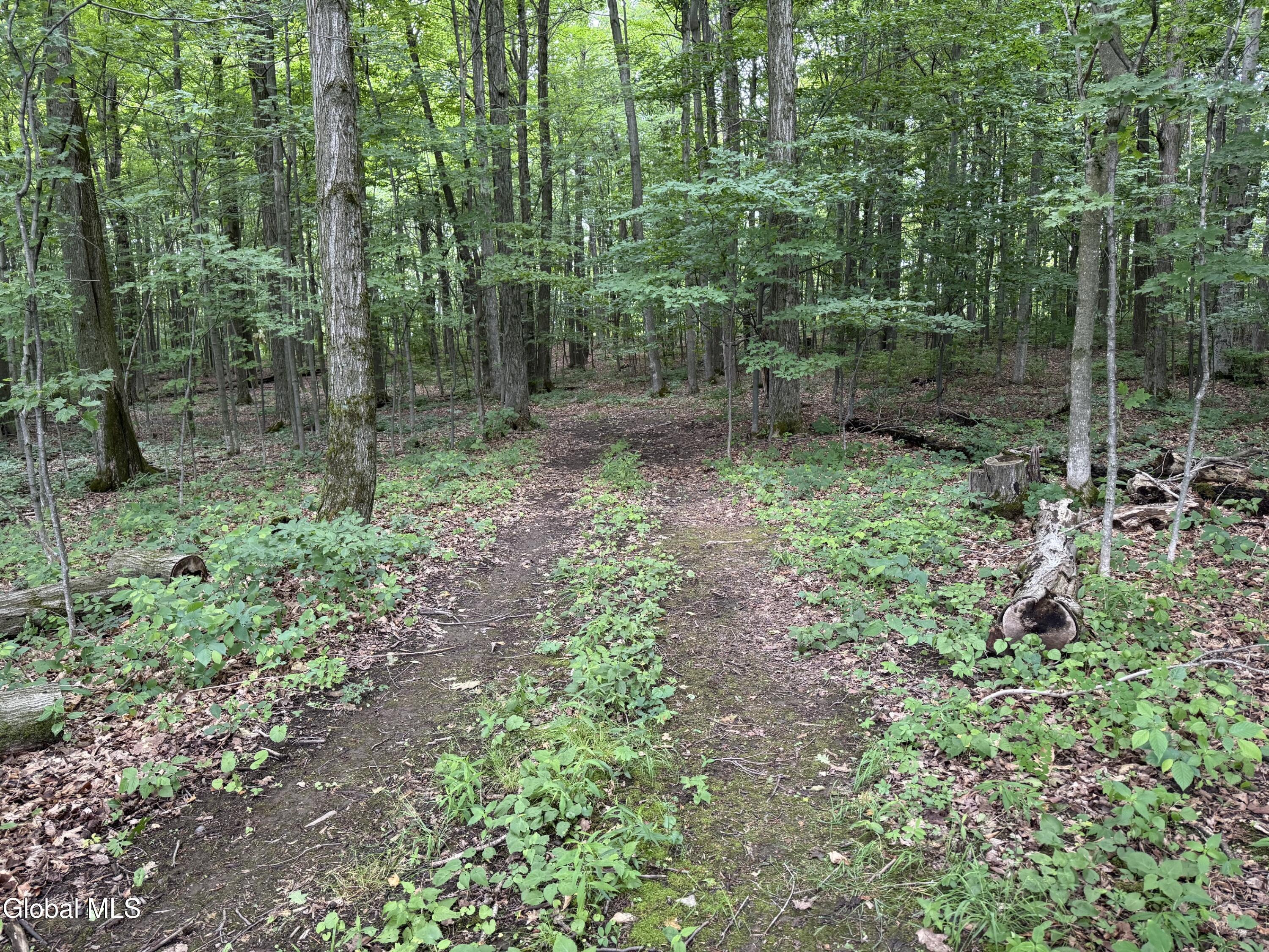 752 Loonenbergh Turnpike Sharon Springs NY 13459