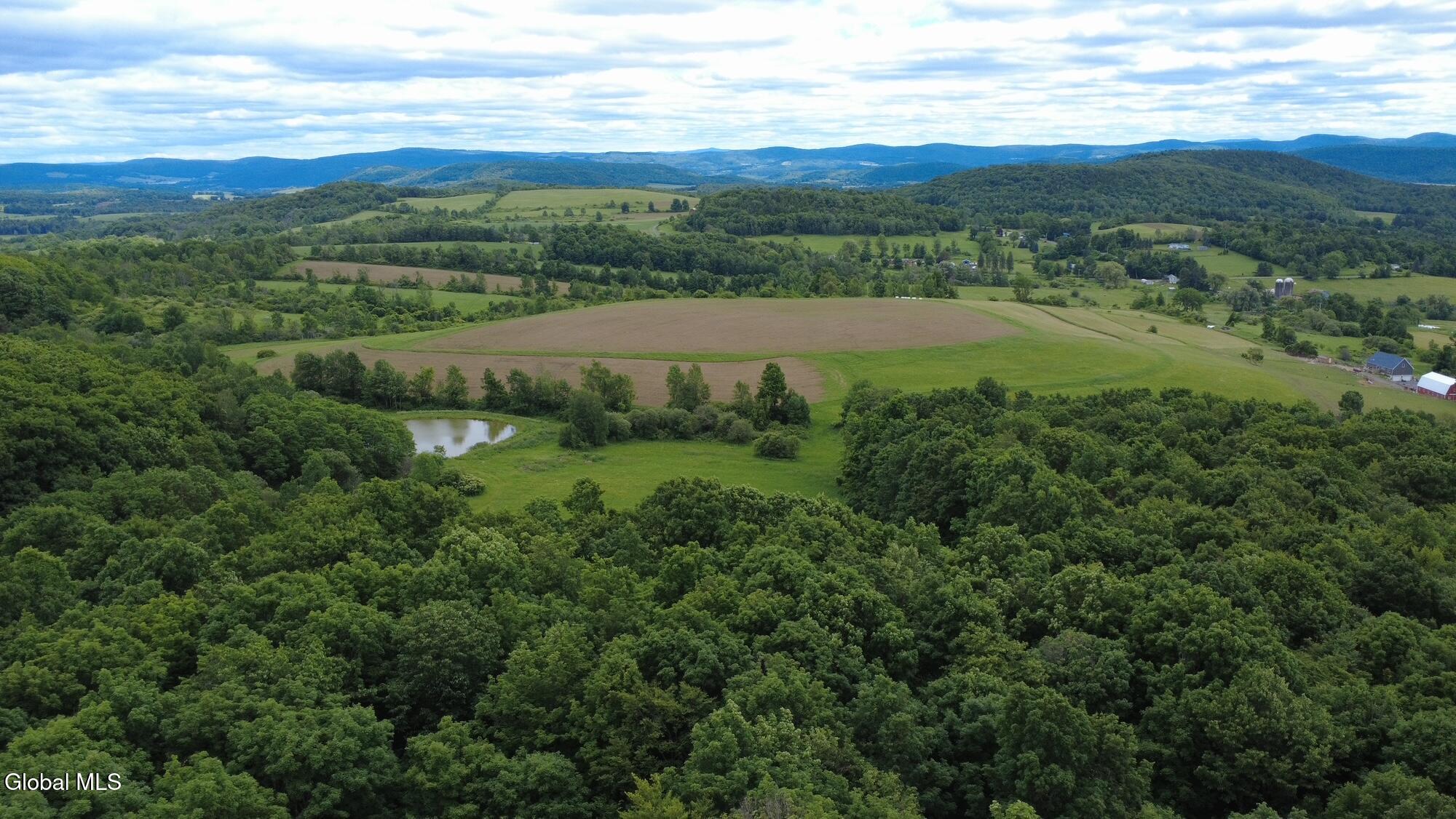 752 Loonenbergh Turnpike Sharon Springs NY 13459