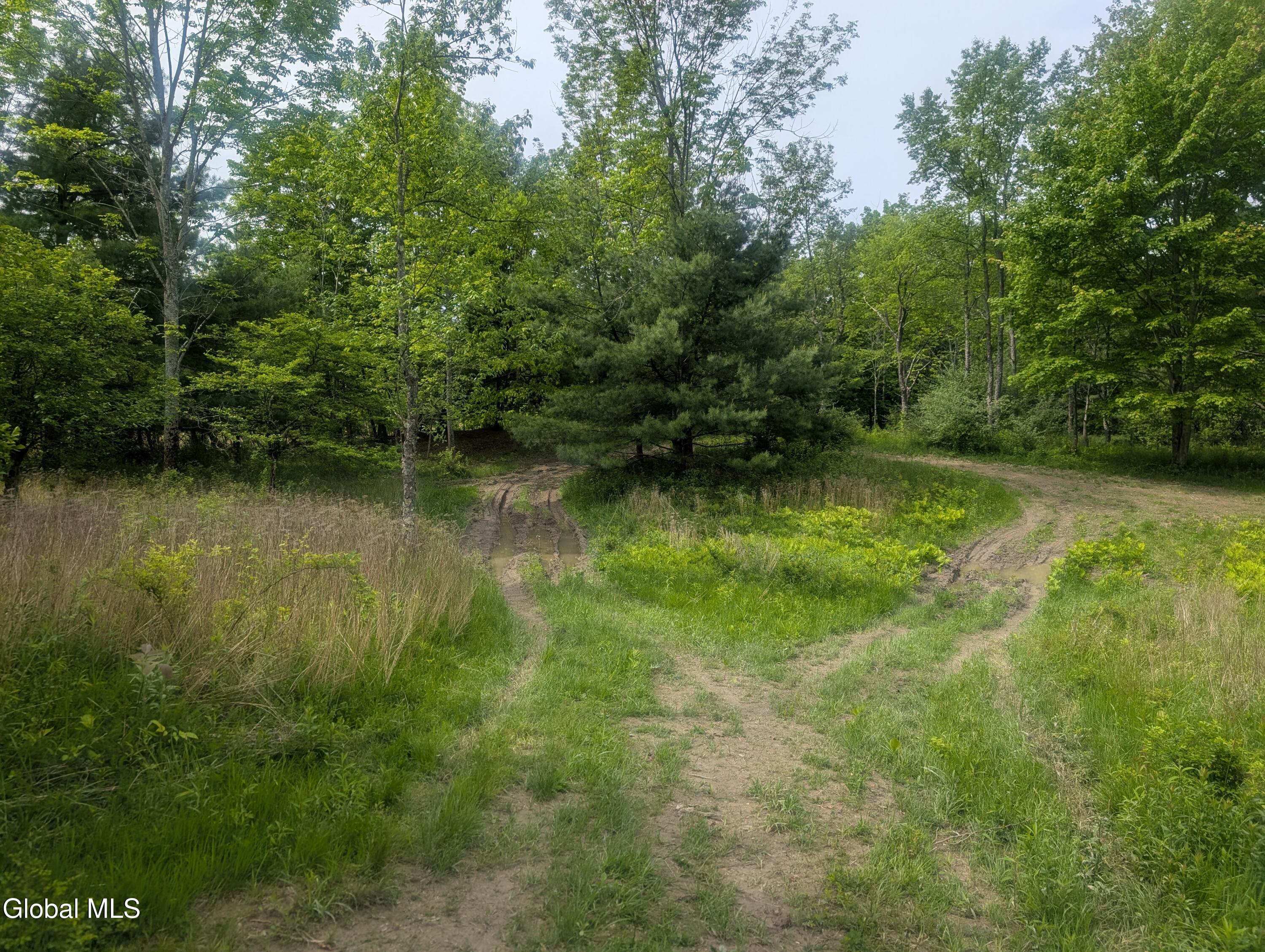 L.5 0 Hovey Avenue Hoosick Falls NY 12090
