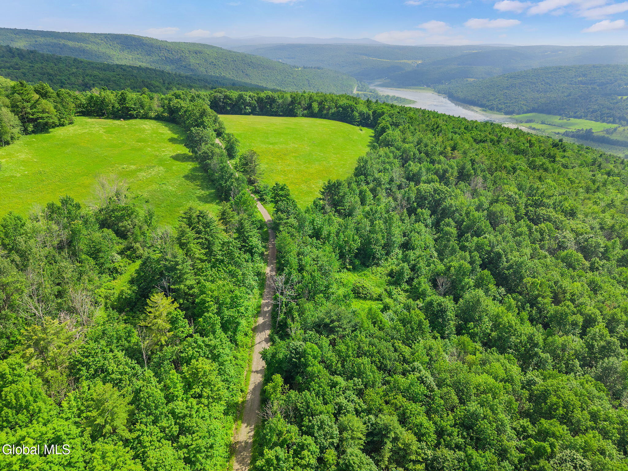 00 Debar Hill Road Middleburgh NY 12122