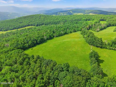 00 Debar Hill Road Middleburgh NY 12122